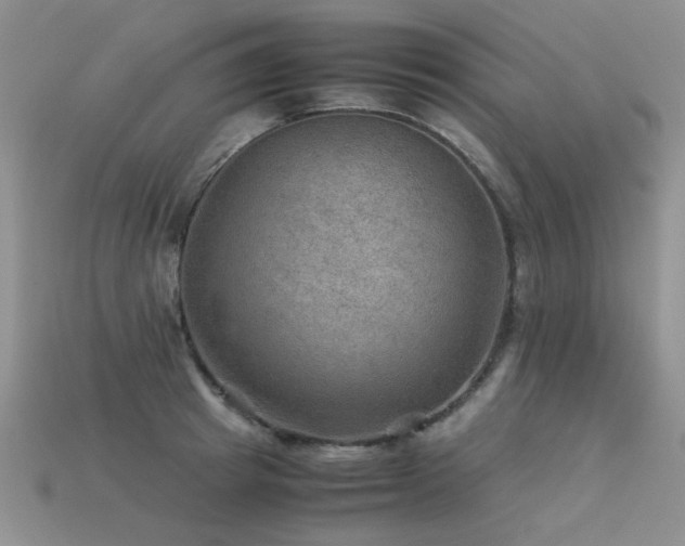 X0000113590849200909181330