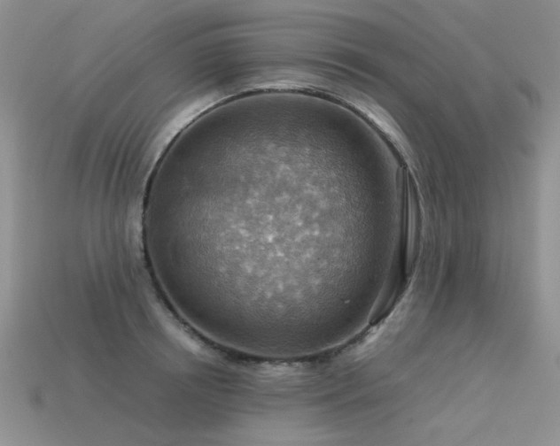 X0000113590850200909181330