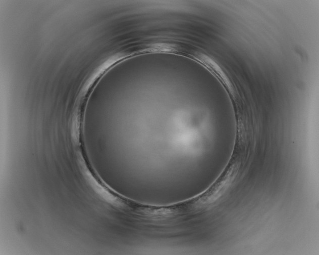 X0000113590851200909181330