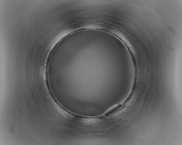 X0000113590853200909181330