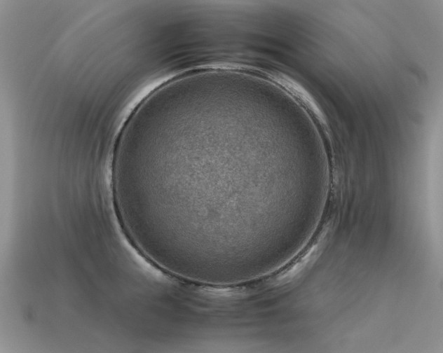 X0000113590855200909181330