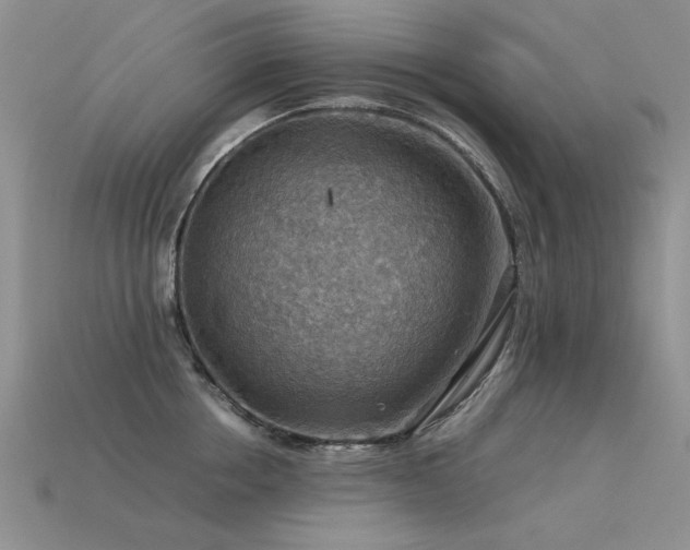 X0000113590858200909181330