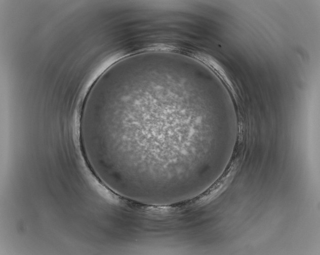 X0000113590859200909181330