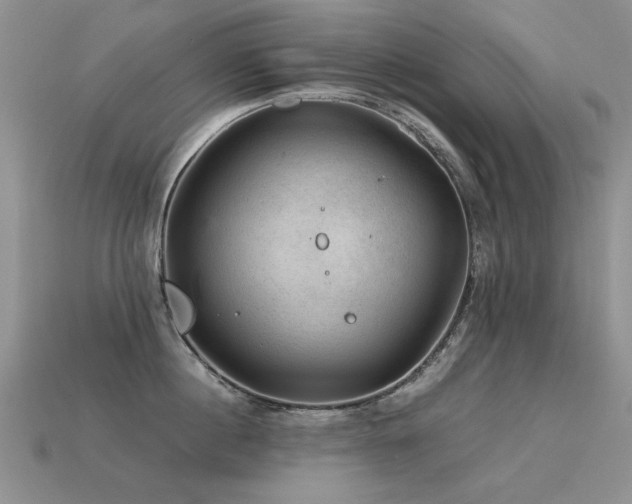 X0000113590860200909181330