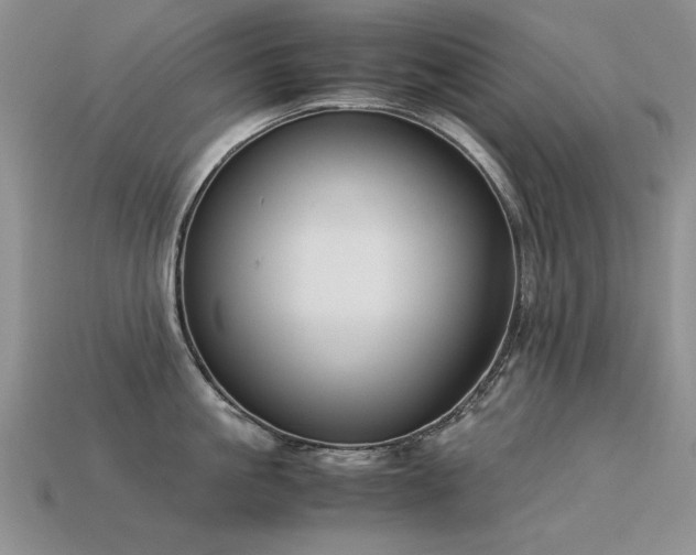 X0000113590861200909181330