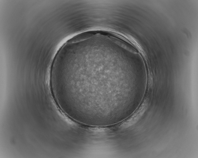 X0000113590862200909181330