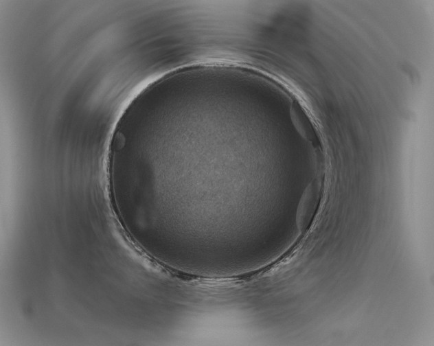 X0000113590864200909181330