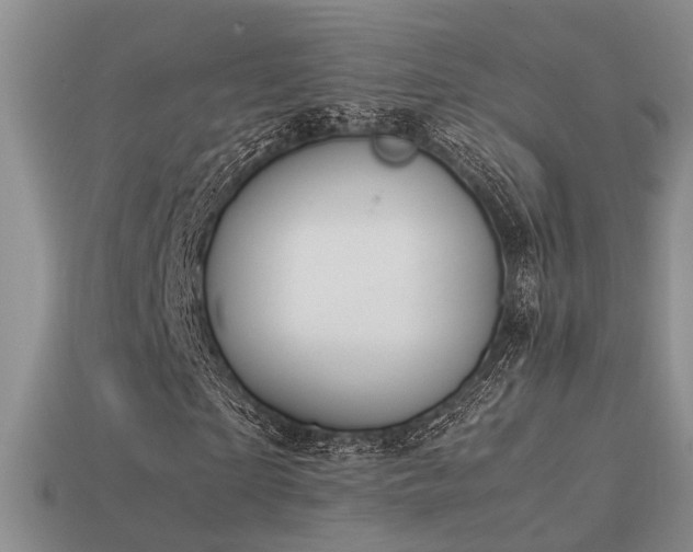 X0000113590865200909181330