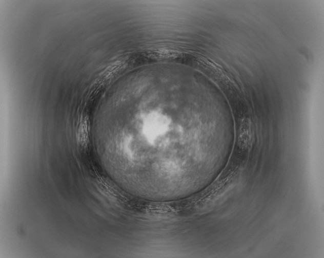 X0000113590866200909181330