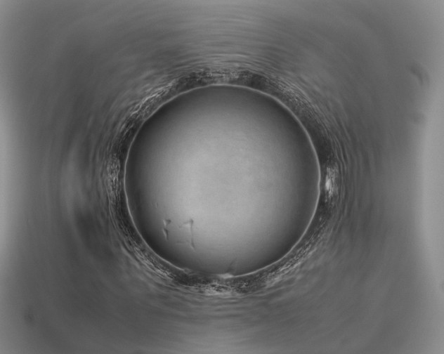 X0000113590867200909181330