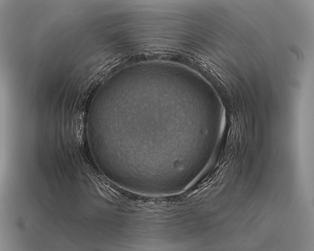 X0000113590868200909181330