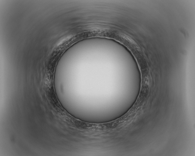 X0000113590869200909181330