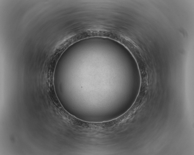 X0000113590870200909181330