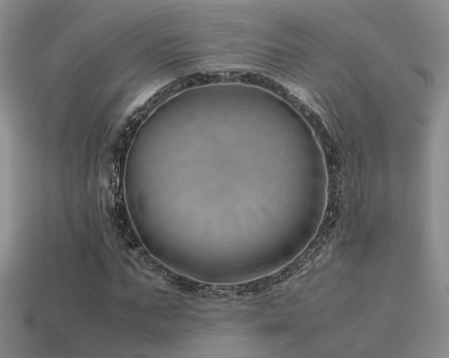 X0000113590871200909181330