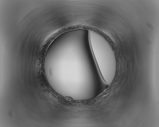 X0000113590872200909181330