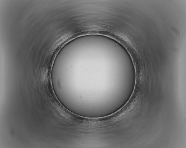 X0000113590873200909181330