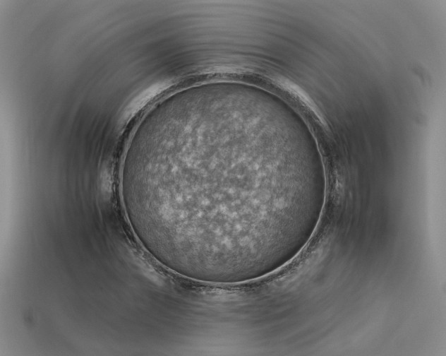 X0000113590874200909181330