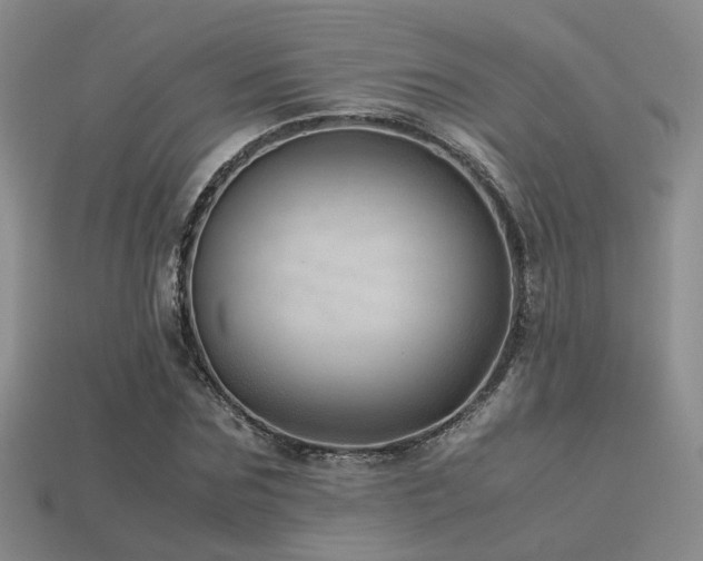 X0000113590875200909181330