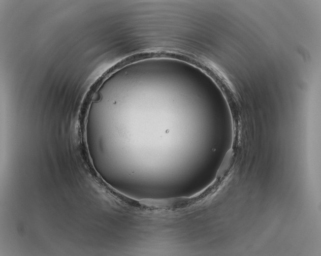 X0000113590876200909181330