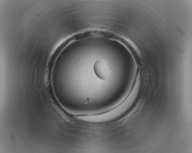 X0000113590878200909181330