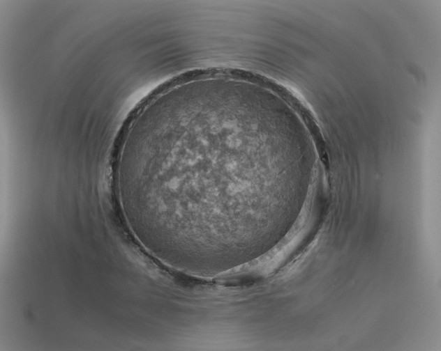 X0000113590879200909181330