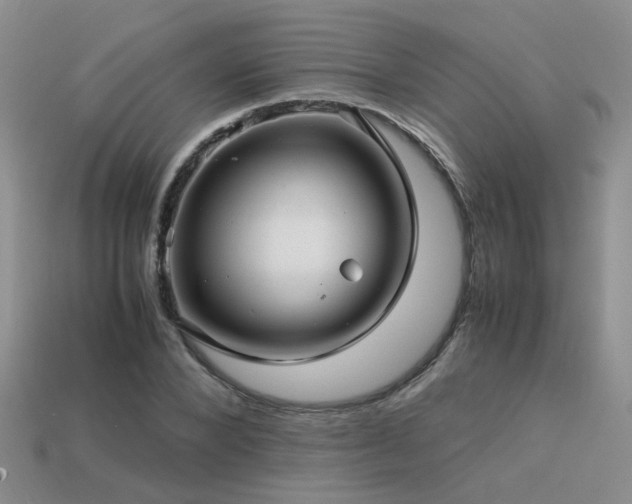 X0000113590880200909181330