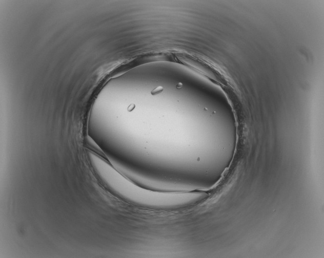 X0000113590881200909181330