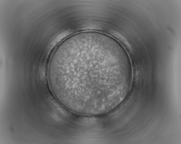 X0000113590882200909181330