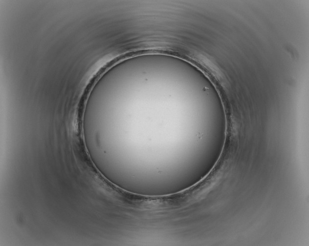 X0000113590883200909181330