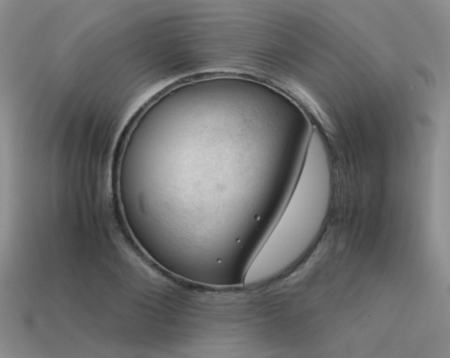 X0000113590884200909181329