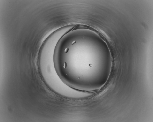 X0000113590885200909181329