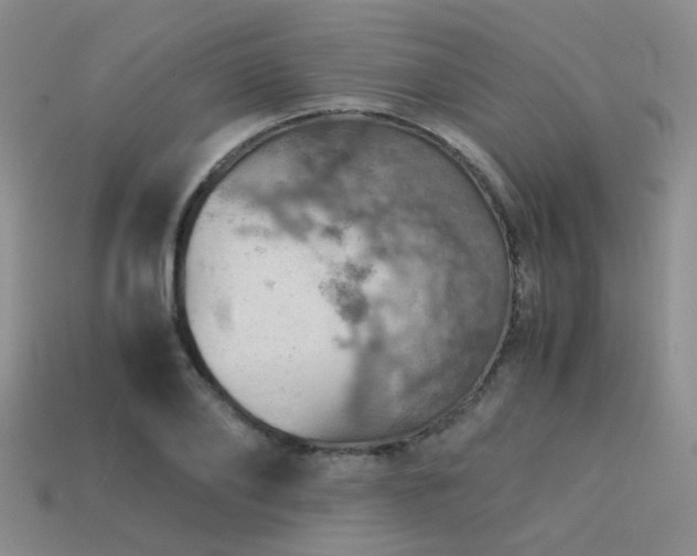 X0000113590886200909181329