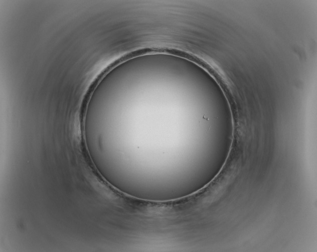 X0000113590887200909181329