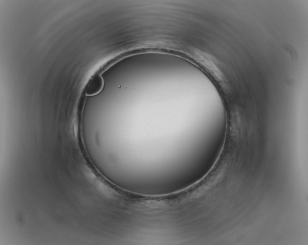 X0000113590888200909181329