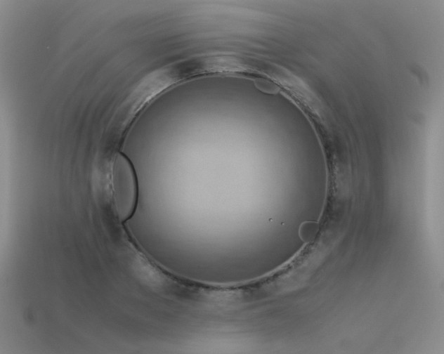 X0000113590889200909181329