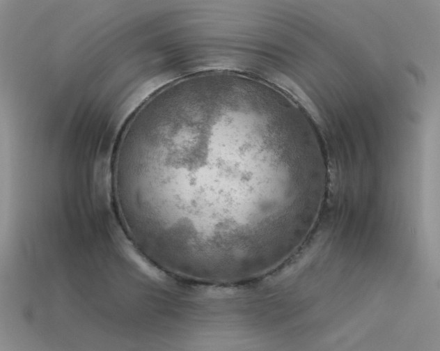 X0000113590890200909181329