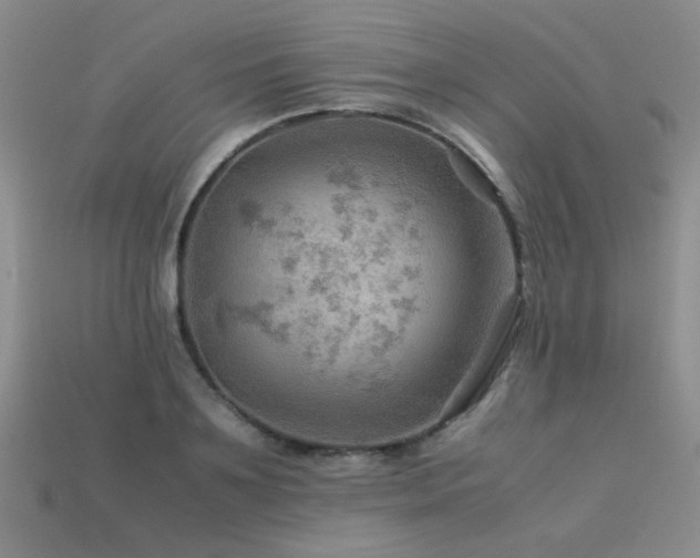 X0000113590891200909181329