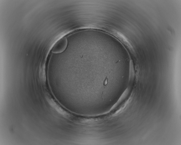 X0000113590892200909181329