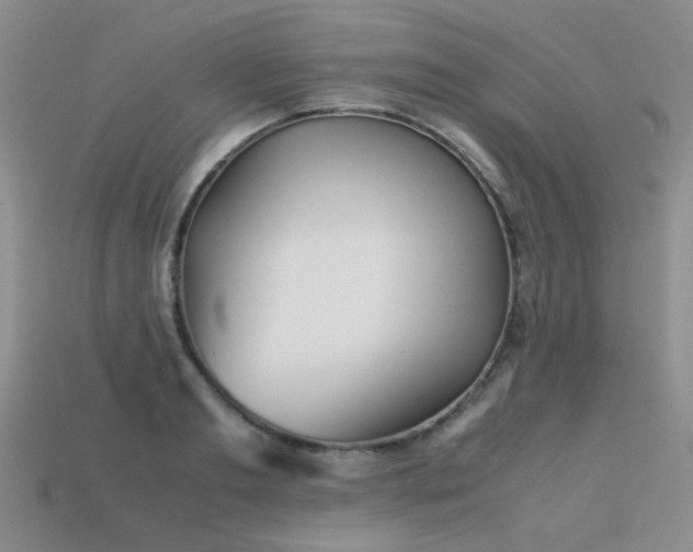 X0000113590893200909181329