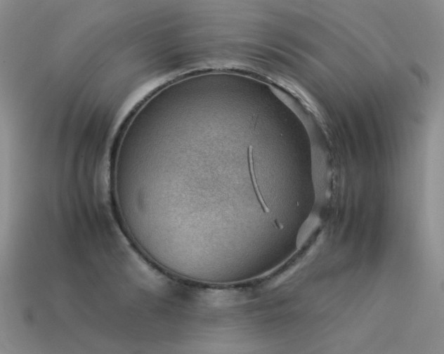 X0000113590894200909181329