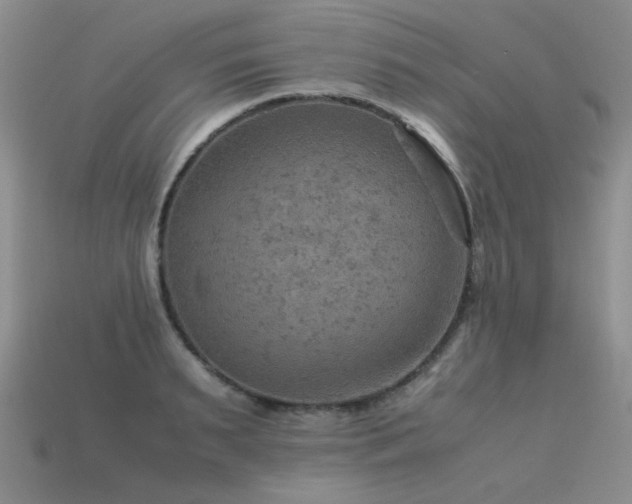 X0000113590895200909181329