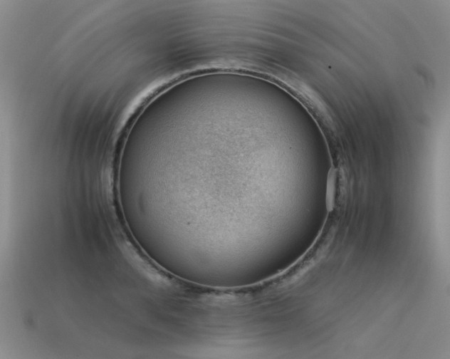 X0000113590896200909181329