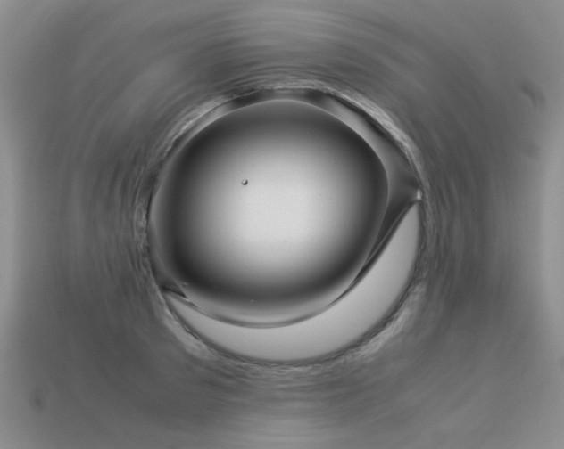 X0000113590897200909181329