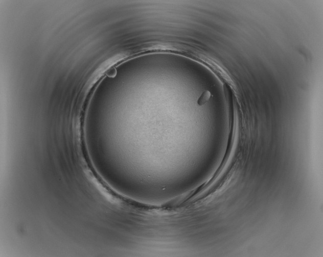 X0000113590898200909181329