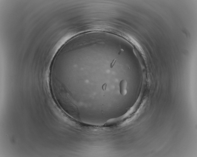 X0000113590899200909181329