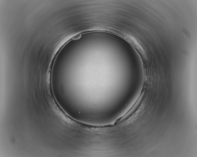 X0000113590900200909181329