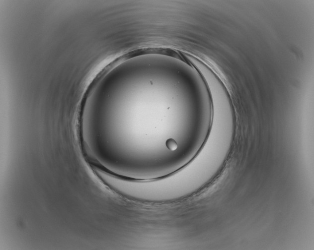 X0000113590901200909181329