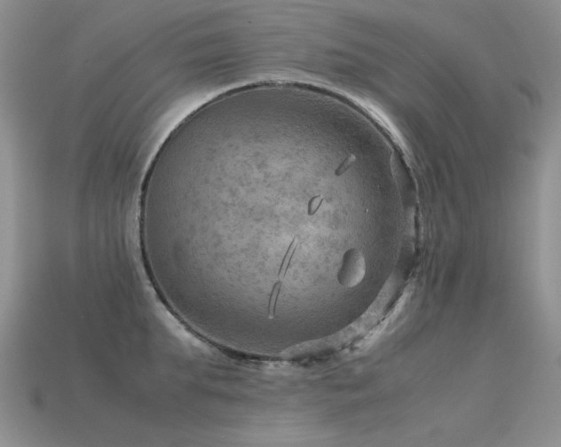 X0000113590903200909181329