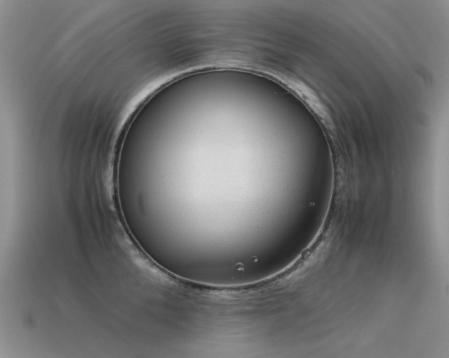 X0000113590904200909181329