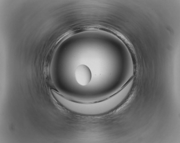 X0000113590905200909181329